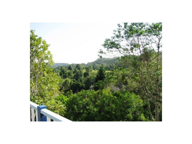 Palmvale NSW 2484