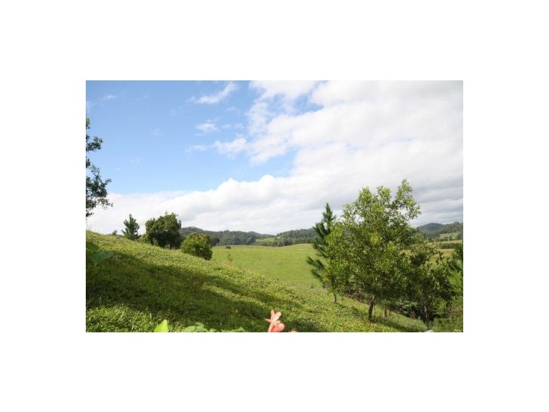Murwillumbah NSW 2484