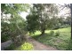 Murwillumbah NSW 2484