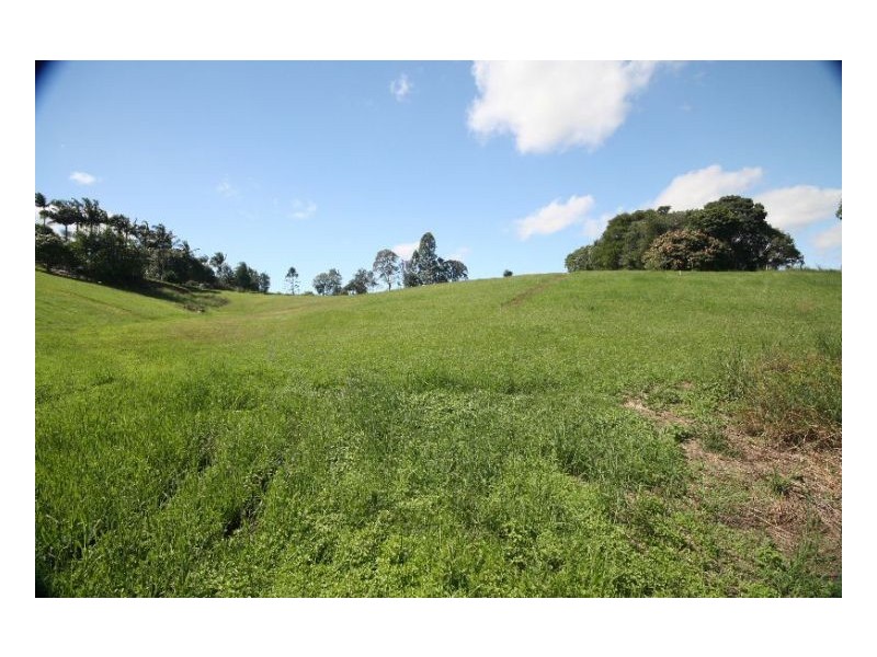 Murwillumbah NSW 2484