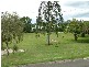 Murwillumbah NSW 2484