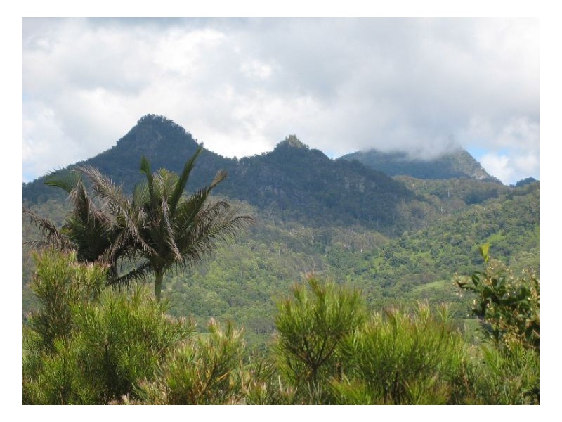 Nobbys Creek NSW 2484