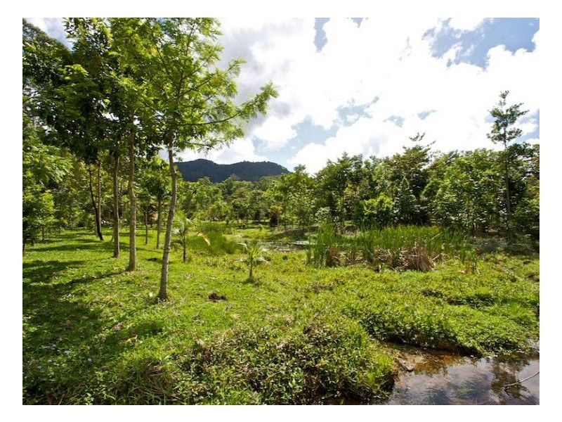 Nobbys Creek NSW 2484