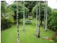 Murwillumbah NSW 2484