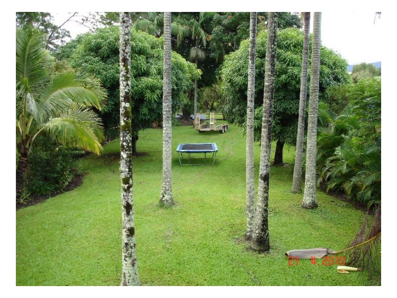Murwillumbah NSW 2484