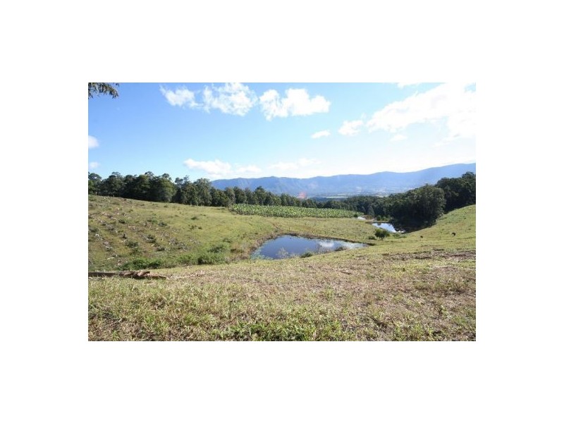 Murwillumbah NSW 2484