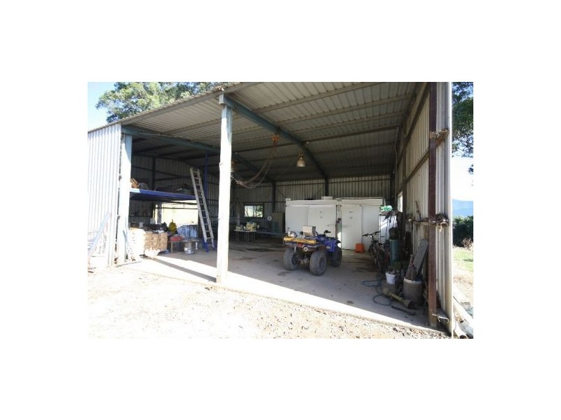 Murwillumbah NSW 2484