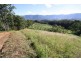 Murwillumbah NSW 2484