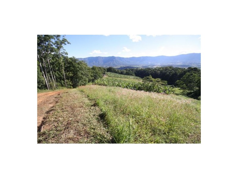 Murwillumbah NSW 2484