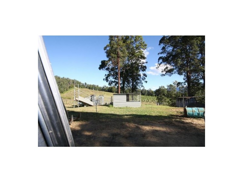 Murwillumbah NSW 2484