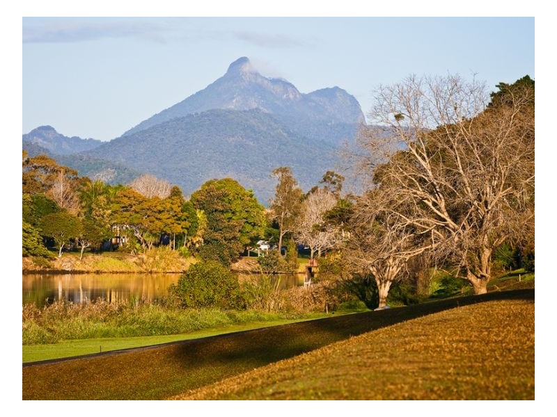 Murwillumbah NSW 2484