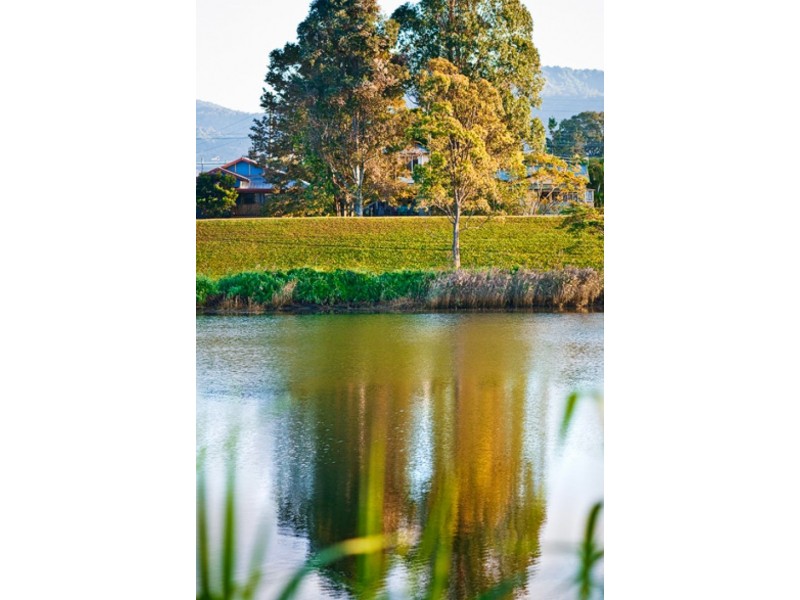 Murwillumbah NSW 2484