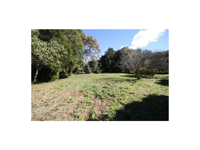 Murwillumbah NSW 2484