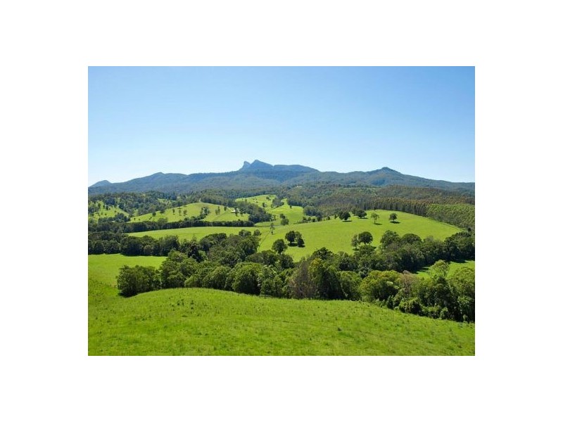 Tyalgum Creek NSW 2484