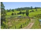 Tyalgum Creek NSW 2484