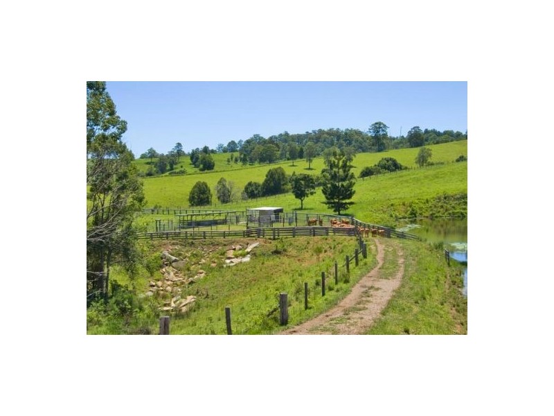 Tyalgum Creek NSW 2484