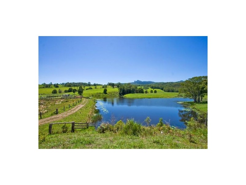 Tyalgum Creek NSW 2484