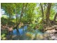 Tyalgum Creek NSW 2484