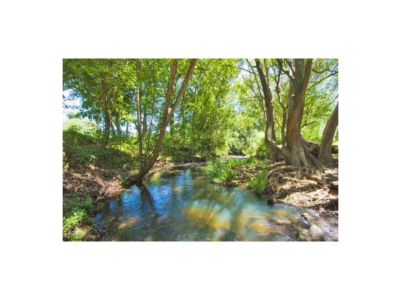 Tyalgum Creek NSW 2484