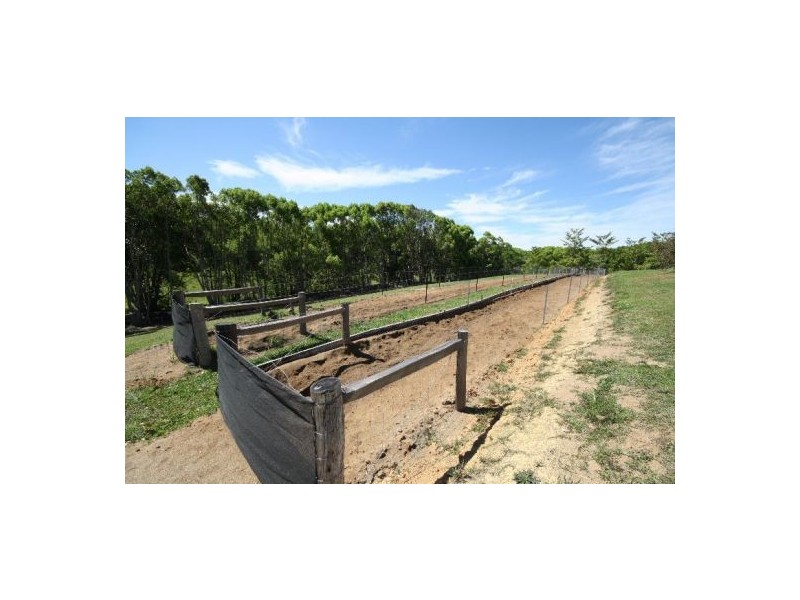 Murwillumbah NSW 2484