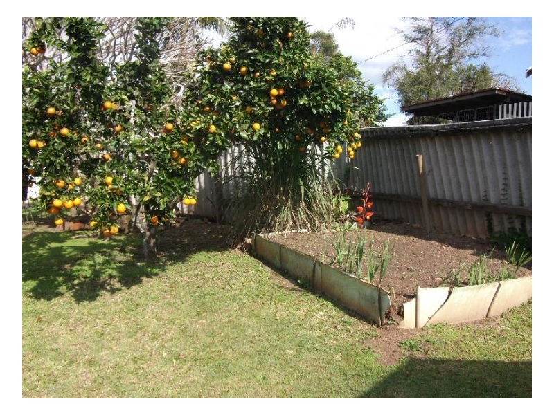 Murwillumbah NSW 2484
