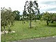 Murwillumbah NSW 2484