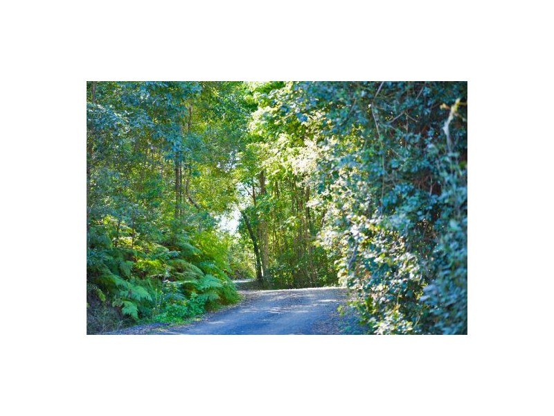 56 Wallum Court, Murwillumbah NSW 2484