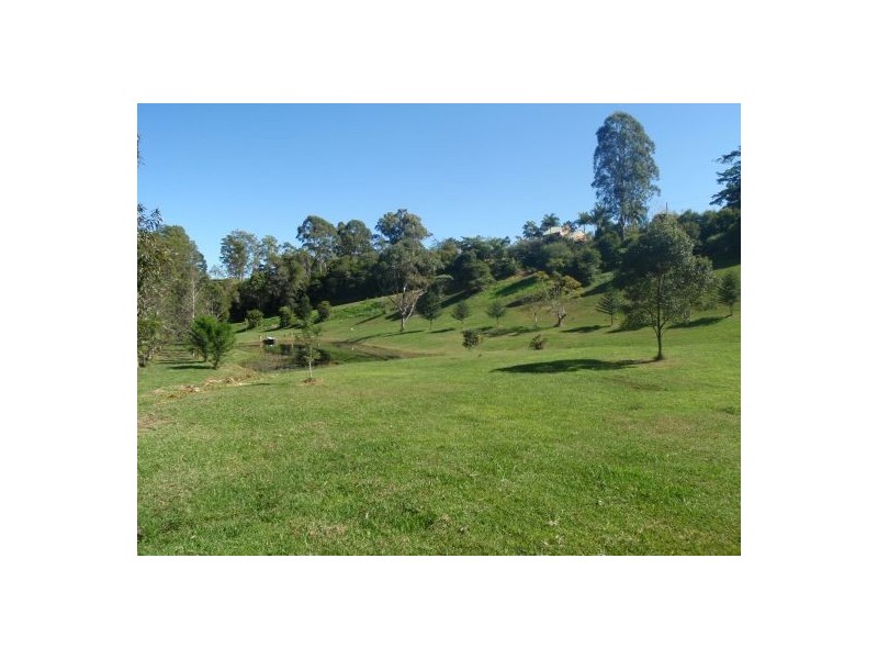 Nobbys Creek NSW 2484