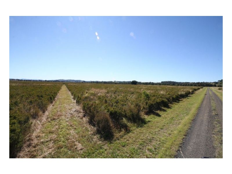 Lismore NSW 2480