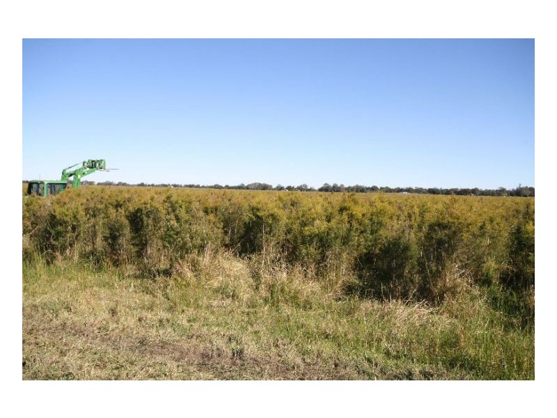 Lismore NSW 2480