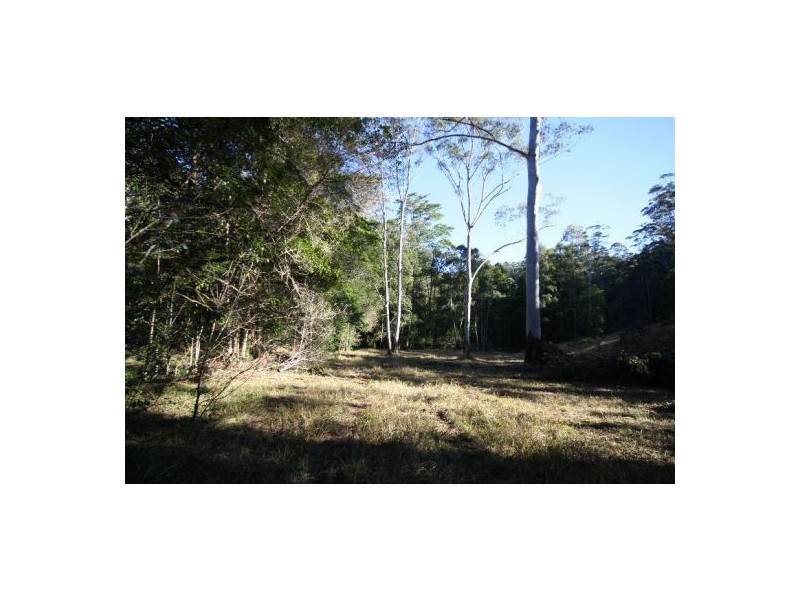 Murwillumbah NSW 2484