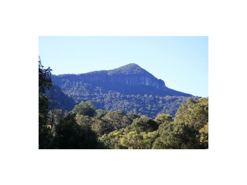 Murwillumbah NSW 2484