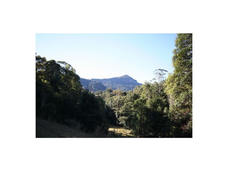 Murwillumbah NSW 2484