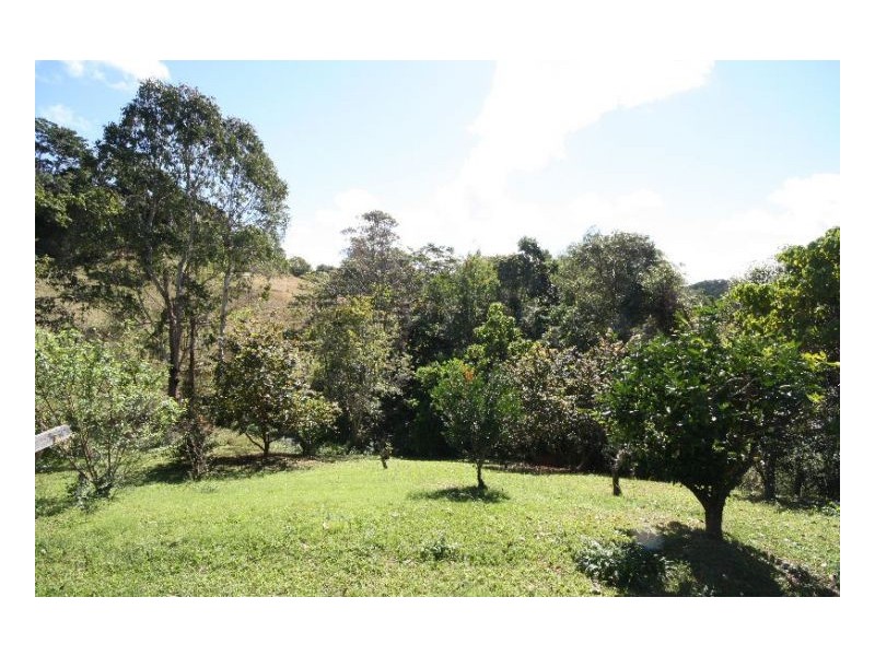 Murwillumbah NSW 2484