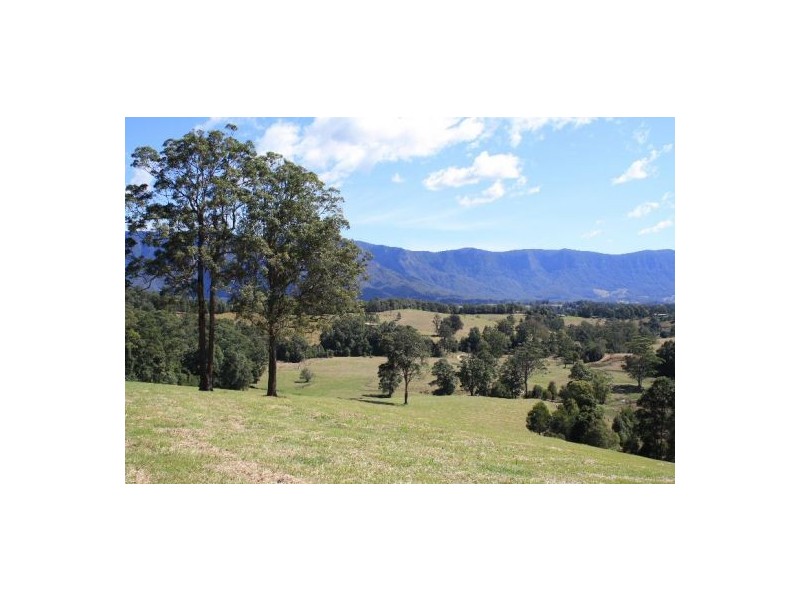 Brays Creek NSW 2484