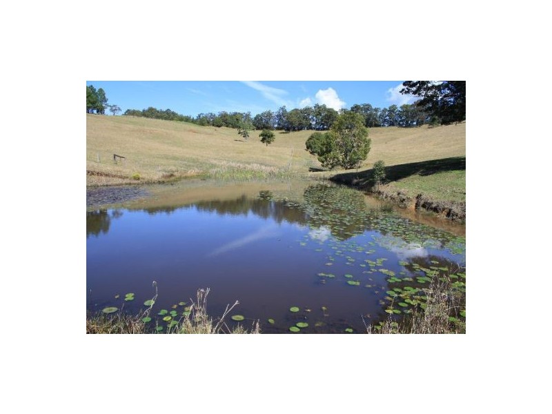 Brays Creek NSW 2484