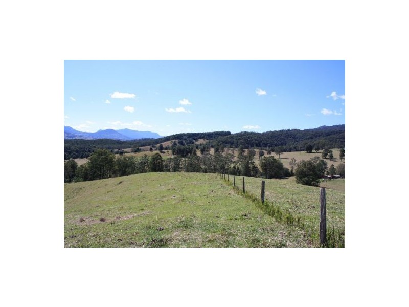 Brays Creek NSW 2484