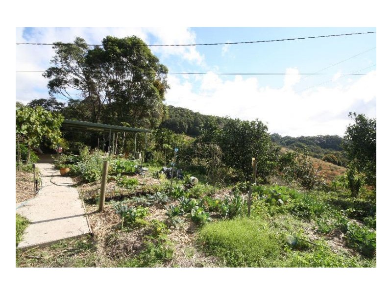 Murwillumbah NSW 2484