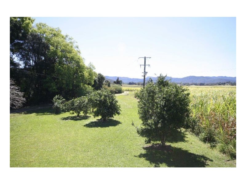 Murwillumbah NSW 2484