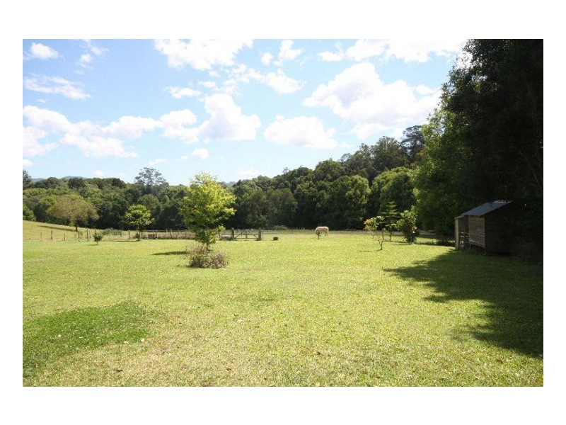 Murwillumbah NSW 2484