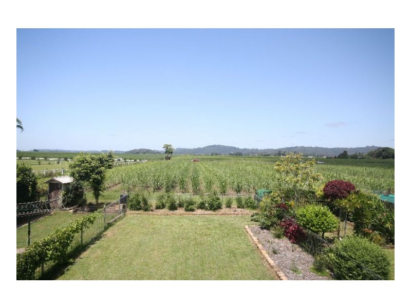Murwillumbah NSW 2484