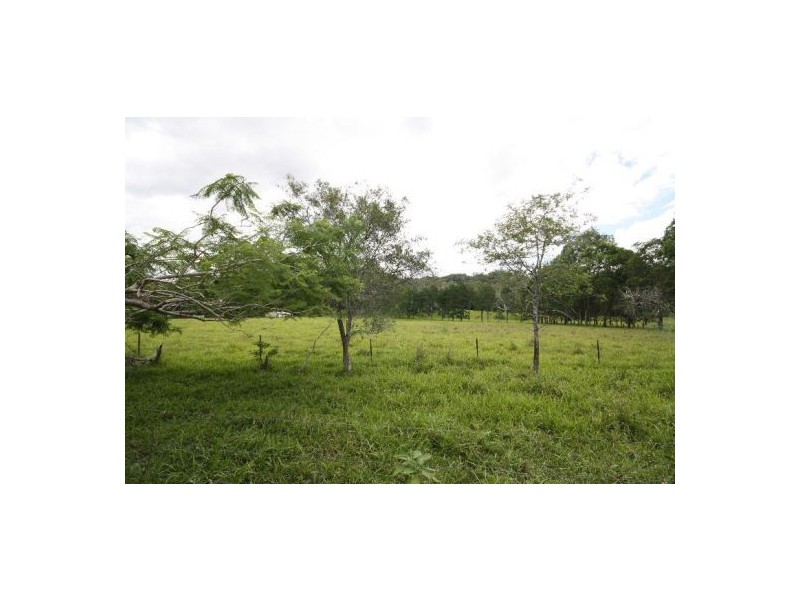 Murwillumbah NSW 2484