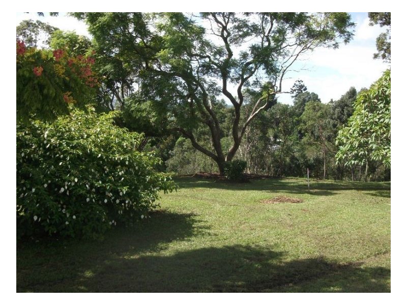 Murwillumbah NSW 2484