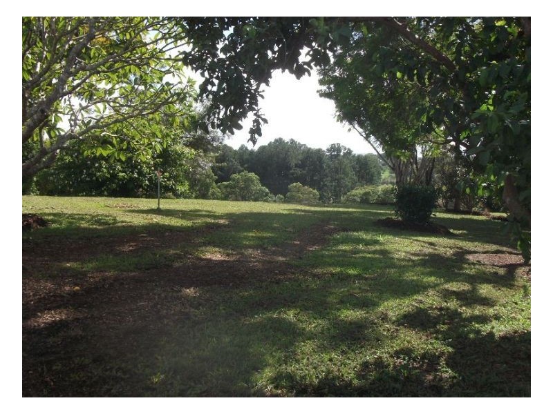 Murwillumbah NSW 2484