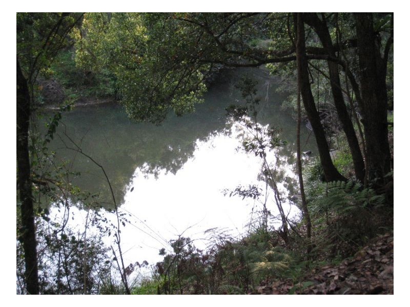 Byrrill Creek NSW 2484