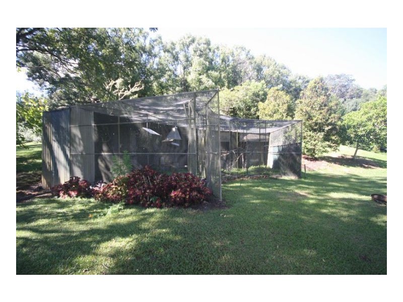 Nobbys Creek NSW 2484