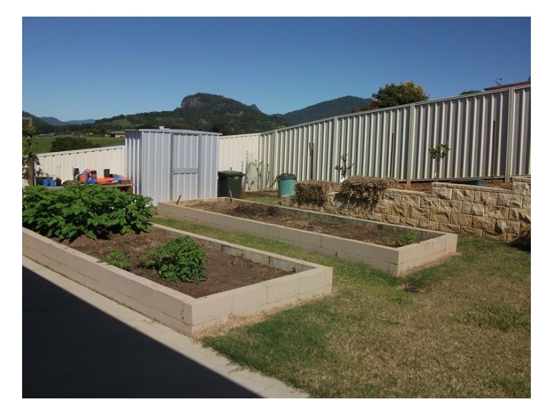 Murwillumbah NSW 2484
