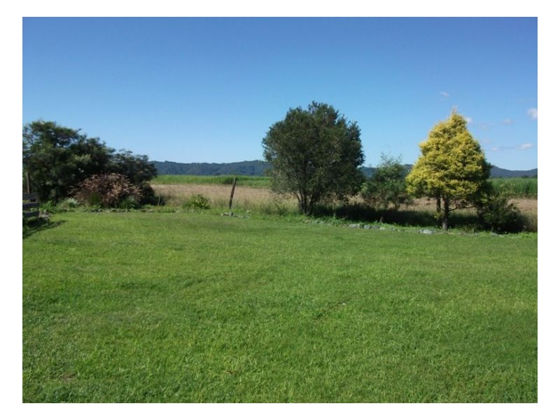 Murwillumbah NSW 2484