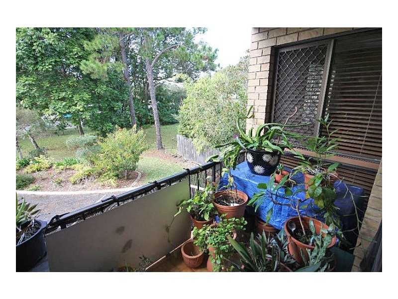 Murwillumbah NSW 2484