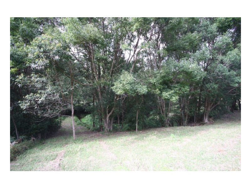 Murwillumbah NSW 2484